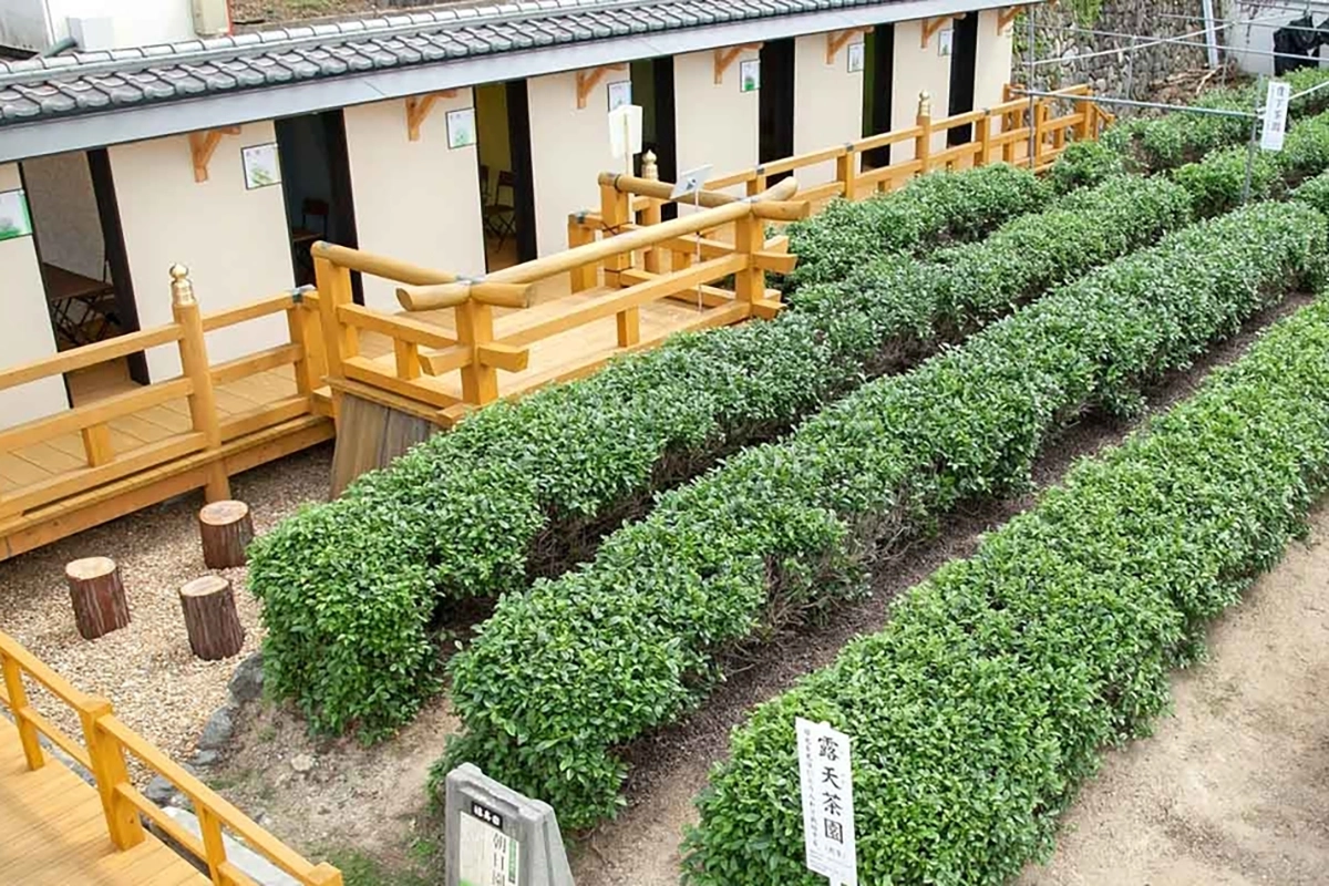 Fukujuen Uji Tea Factory