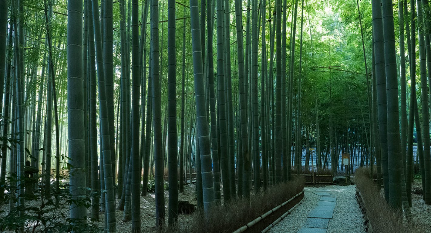 Hōkoku-ji