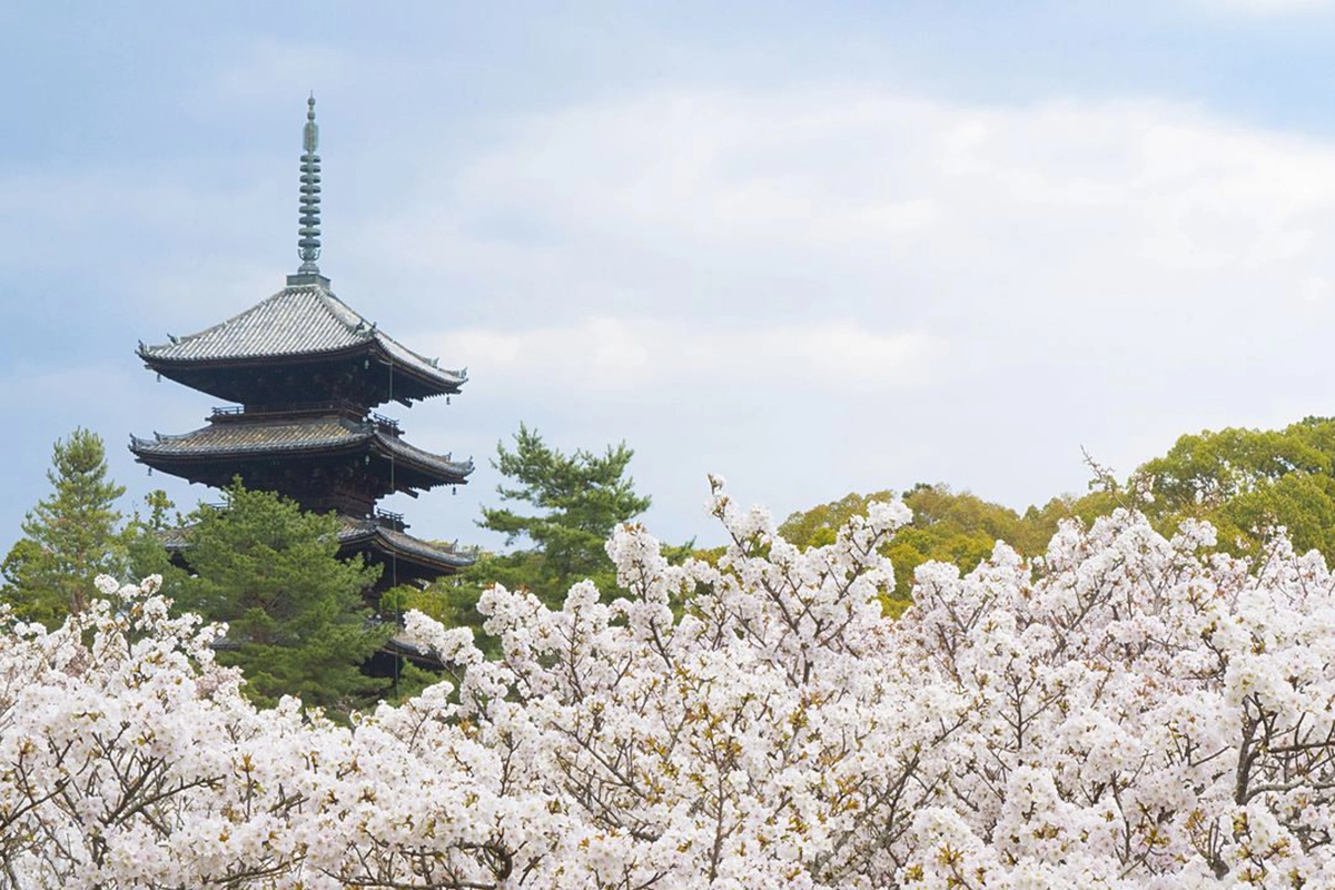 Ninna-ji